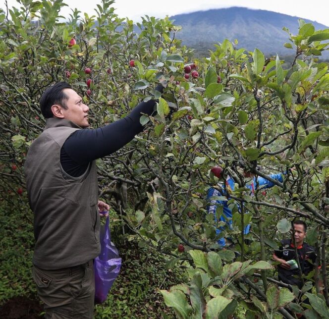 
AHY Mentri Pertanian yang Baru?