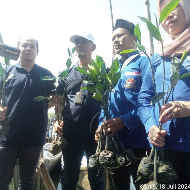 
DPC HNSI Medan Bersama PT Musim Mas Melakukan Reboisasi Bibir Pantai Wilayah Belawan