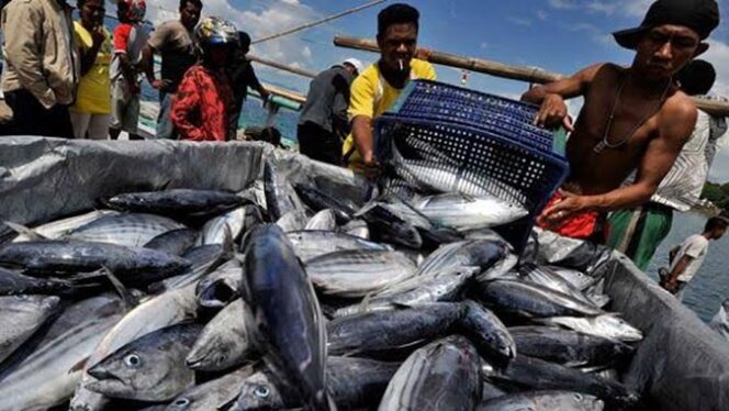 
Ekspor Perikanan Mencapai Rp 1 Triliun