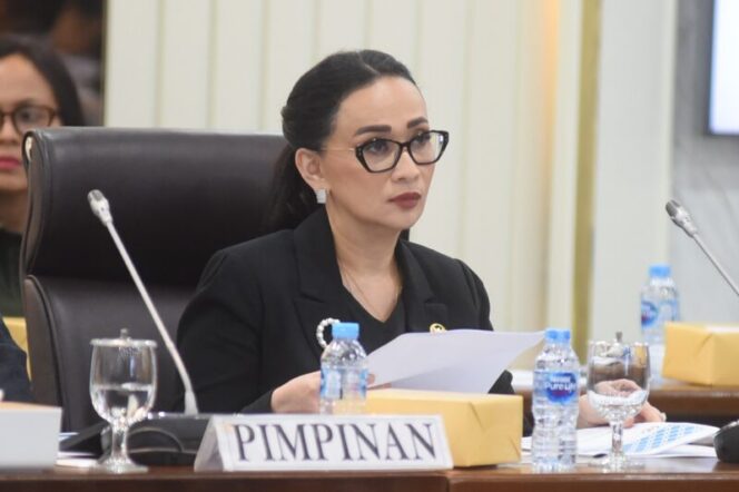 
Pansus RUU Pengelolaan Ruang Udara Soroti Isu Teknologi dan Kedaulatan