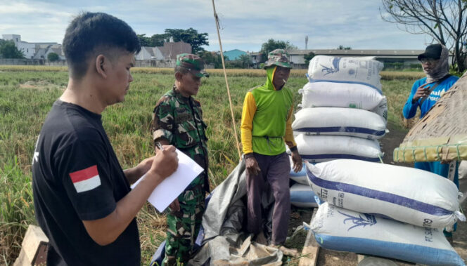 
Bulog Tangerang Serap 24.700 Ton Gabah, Capai 88,32% dari Target Tahap Ketiga