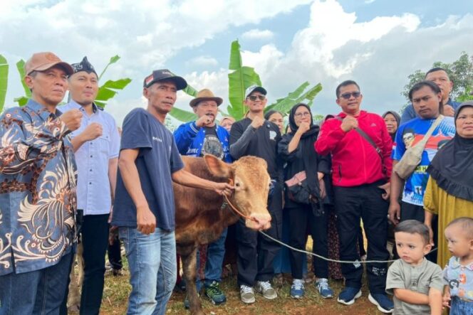 
Jelang Iduladha, DPRD Banten Sumbang Sapi Kurban dan Sembako untuk Warga Huntara Cigobang