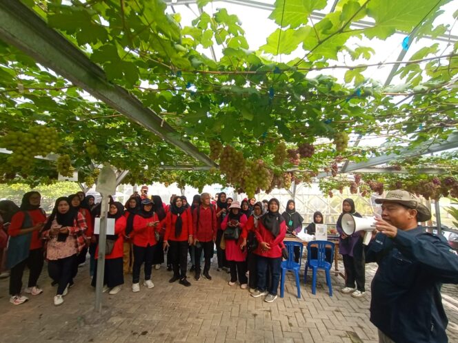 
PT IKPP dan DKP3 Tangsel Dorong Kemandirian Ekonomi KWT melalui Inovasi Pertanian
