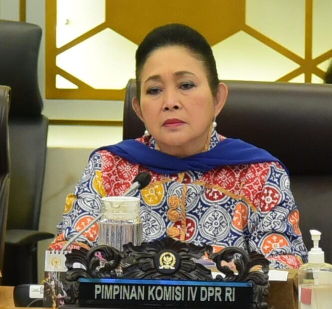 
Titiek Soeharto Sentil Mentan Soal Impor 2,6 Juta Ton Kedelai