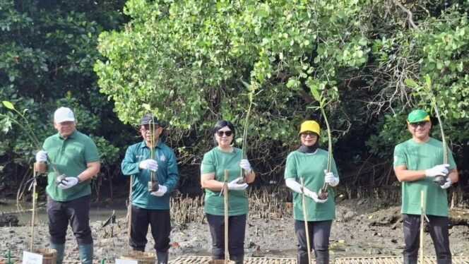 
BI Tanam 1000 Bibit Mangrove di Badung, Bali