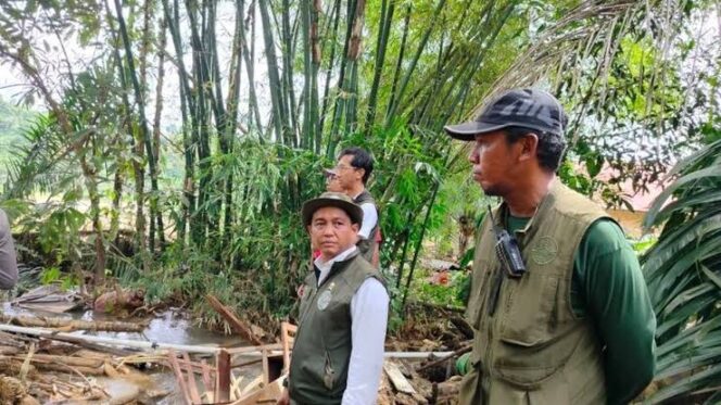 
Gajah Menyusut, Banjir Mematikan: Netizen Tuntut Raja Juli Bertanggung Jawab
