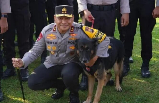 
Kapolda Riau Soroti Peran K9 dalam Misi Kemanusiaan: Pengabdian Sunyi yang Sering Terlupakan
