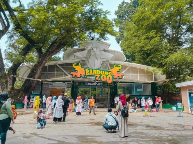 
Bandung Zoo Terancam Hilang, Pemkot Godok Opsi Penutupan