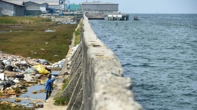 
Antisipasi Rob dan Banjir, Pramono Pastikan Tanggul Pantai Jakarta Rampung