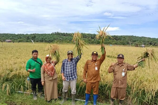 
Swasembada Beras RI Jadi Rujukan Dunia, Negara Maju Datang Berguru