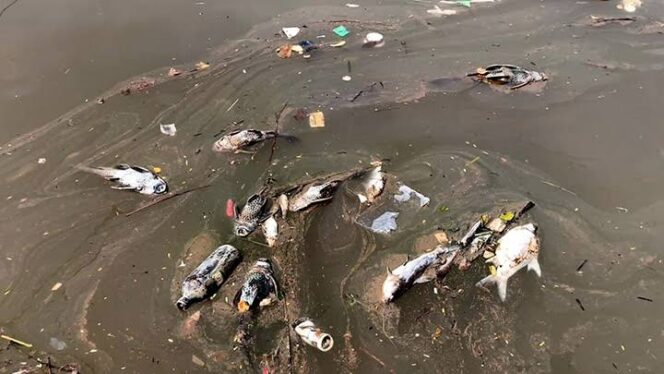 
​Aktivis Lingkungan Tuntut Tanggung Jawab Pidana Pejabat Tangsel Atas Pencemaran Cisadane