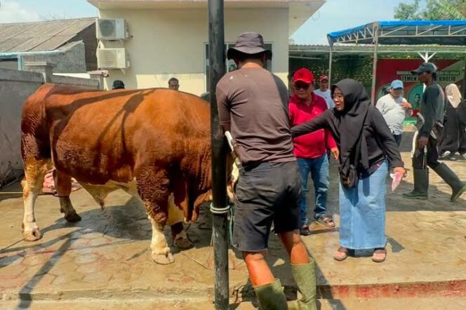 
Wakil Ketua DPRD Tangerang Kholid Ismail Kurban 15 Sapi dan 10 Kambing