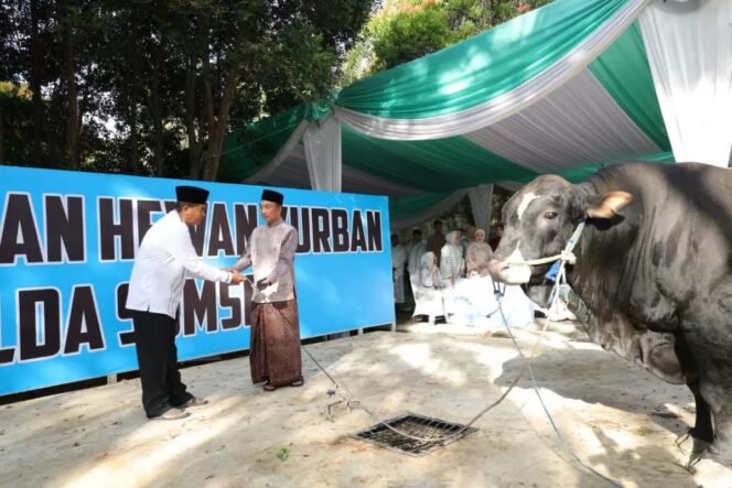 
Kapolda Sumsel Pimpin Penyaluran Ratusan Hewan Qurban hingga ke Pelosok