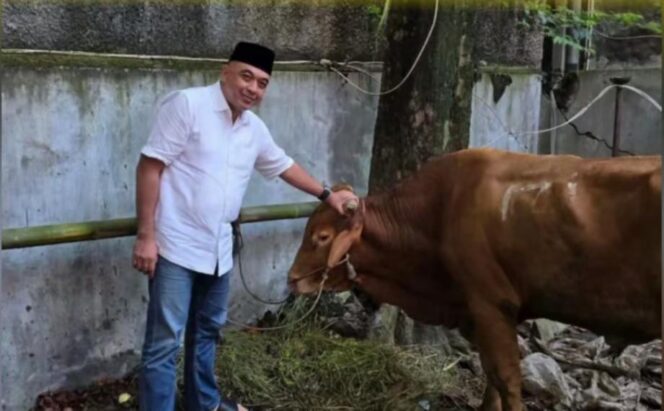 
Idul adha 1447 H, Golkar DKI Jakarta Distribusikan 117 Hewan Kurban di 5 Wilayah
