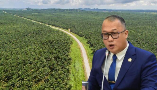 
Skandal Ekspor CPO: Arif Rahman DPR RI Minta Pelaku Dijerat Pasal TPPU