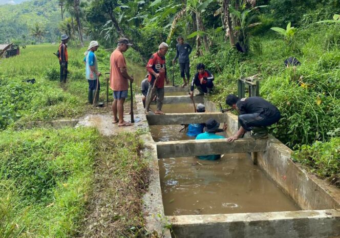 
Masuk Program 2026, P3A Tarunajaya Apresiasi Normalisasi Irigasi Tasikmalaya